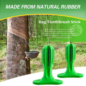 World Most Effective Dog Toothbrush Stick