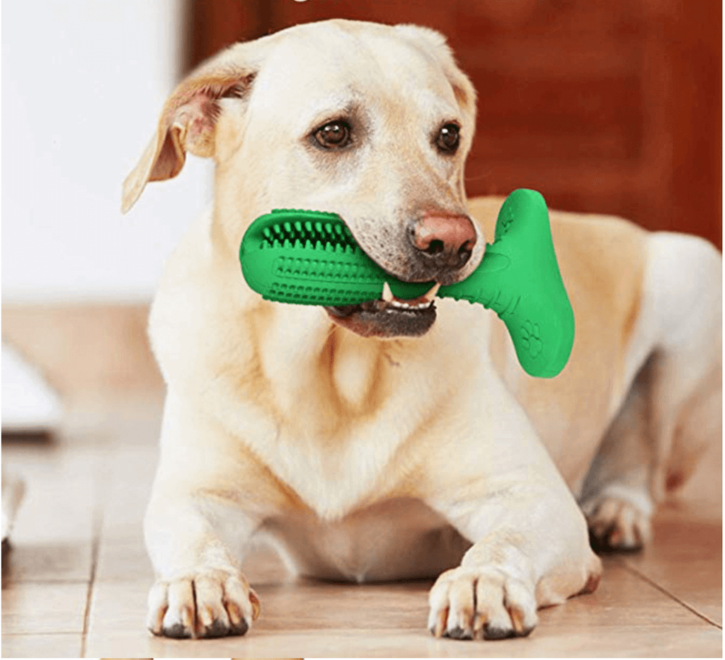 World Most Effective Dog Toothbrush Stick