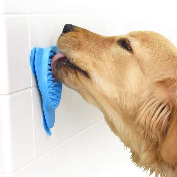 Slow Treater for dog Bathing