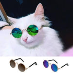 Cute Summer Cat Sunglasses