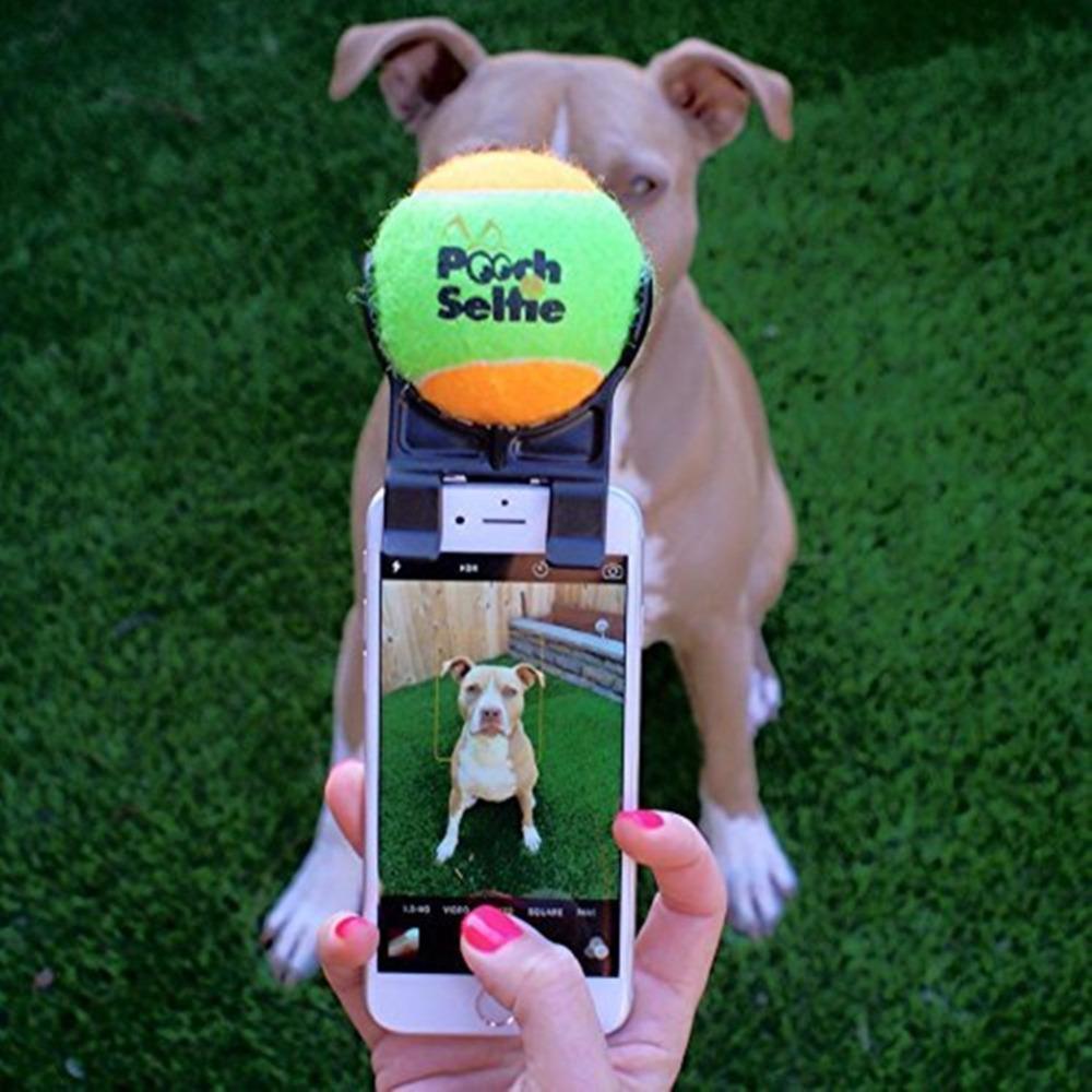 Dog Selfie Stick Ball