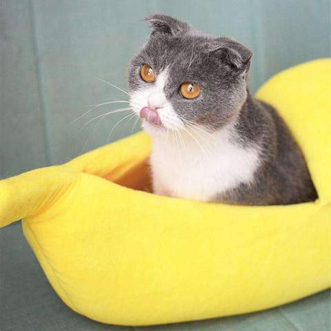 Cute Cat Banana Bed