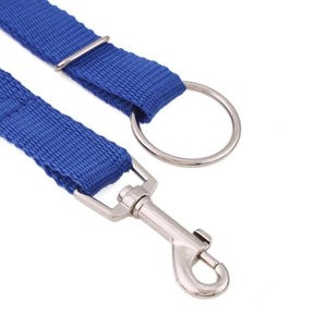 Instant Trainer Dog Leash™