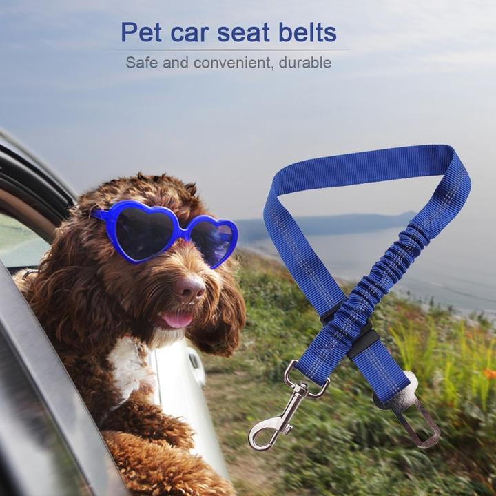 Dog Car Belt