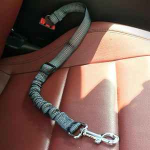 Dog Car Belt