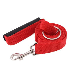 Instant Trainer Dog Leash™