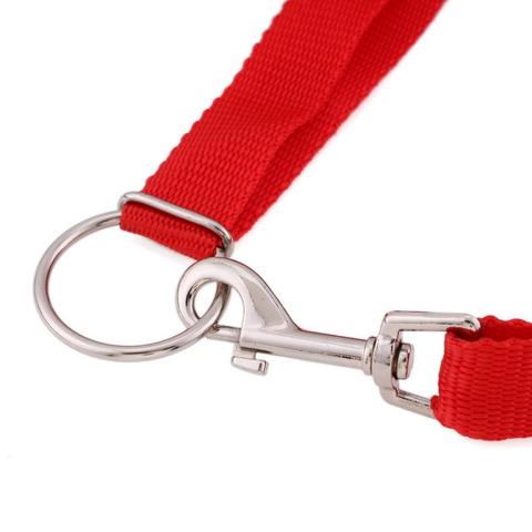 Instant Trainer Dog Leash™