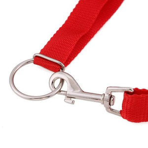 Instant Trainer Dog Leash™